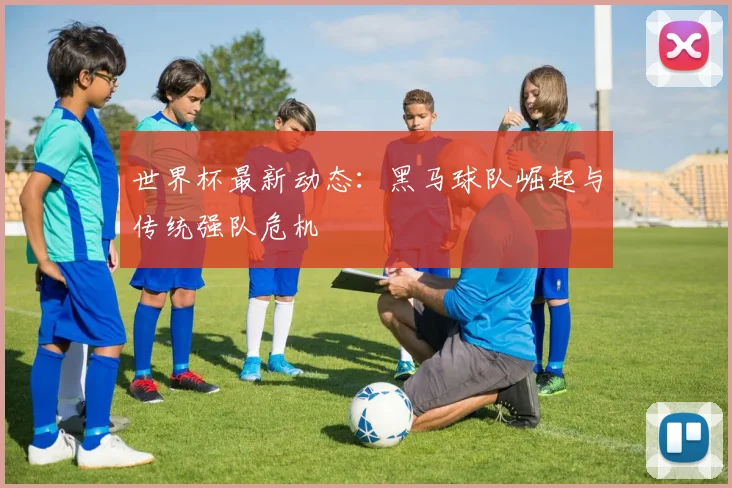 世界杯最新动态：黑马球队崛起与传统强队危机